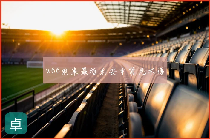 w66利来最给利安卓常见术语